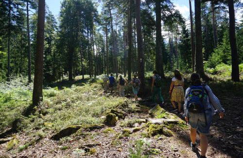 Haus Hubertus - Foto 30