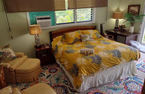 Pohaku Place - 3000 sqft of tropical charm spa - Foto 16