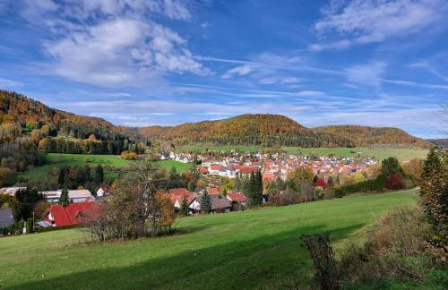 Ferienwohnung Felsenblick - Foto 27