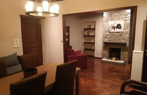 Τείχιο Πατρικό - Tihio Patriko - Πέτρινη κατοικία - Foto 16