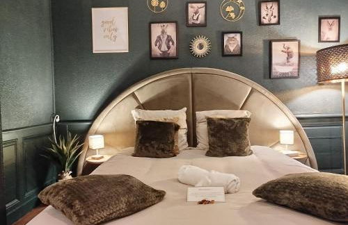 Nancy Vieille ville Stanislas - Foto 57