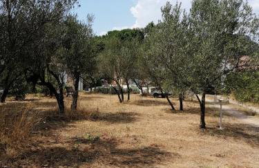 Villa gonfaron - Foto 12