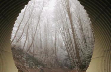 Apartment im Grünen mit Stil - Foto 22