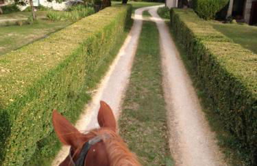 La Vayssade - Grand Gîte de charme - 14 pers - Piscine & Jacuzzi - Photo 69