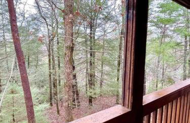 Perfectly private! Hot tub, king sized bed, grill, washer/dryer, and motorcycle friendly! Studio Cabin by RedAwning - Foto 46