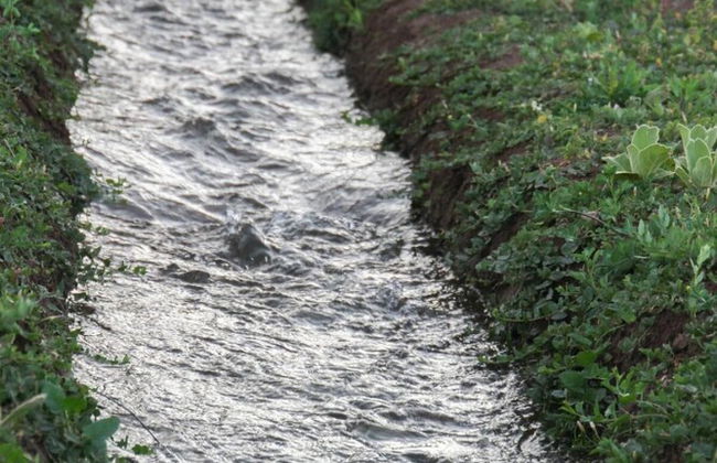 Outstanding Views Just North of Durango - Foto 31