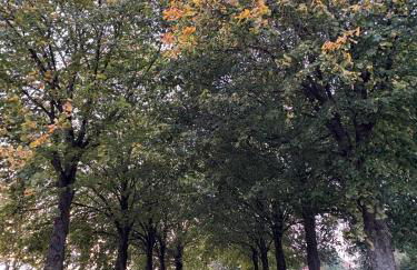 Wohnen in der ehemaligen Bauernstube - Foto 36