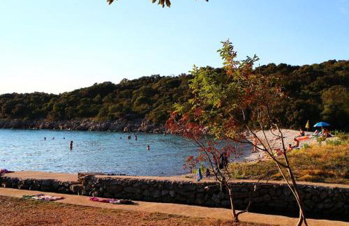 Apartmani Vesna - Foto 19