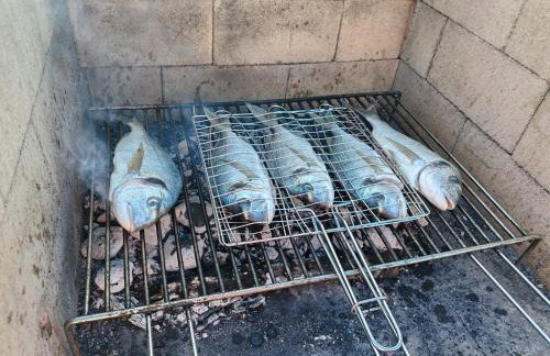 Izzi Mobile Home - Terra Park SpiritoS - Photo 47