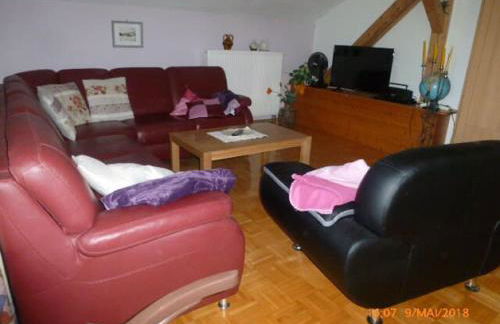 Seidl's Ilztalfewo - Foto 21