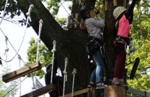 Charmant Gîte à St-Cast - Foto 18