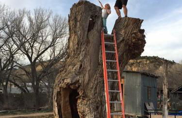 The Treehouse - Foto 9