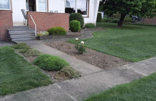 Lütke-Dörhoff - Foto 5