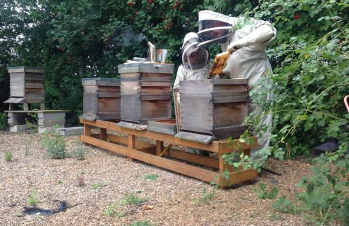 Hollyhock Cottage, Clematis cottages, Stamford - Foto 27