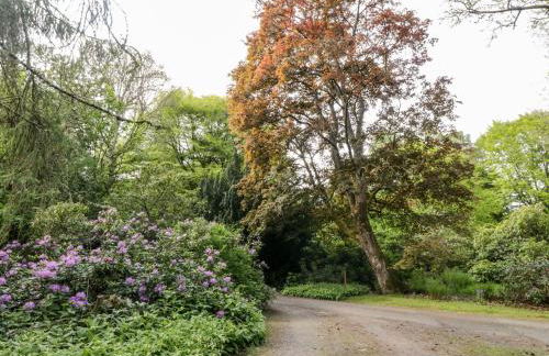 Maisie's Cottage - Foto 23