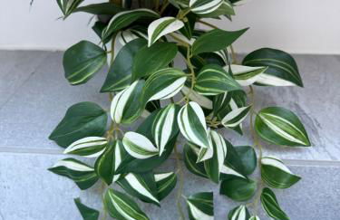 Loren House - Photo 44