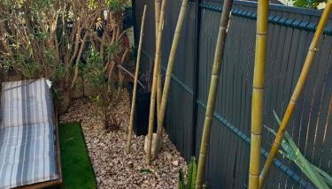 le cytharis - Foto 5