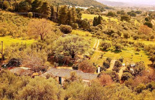 Vounaki Seaside Dreamland! - Foto 64