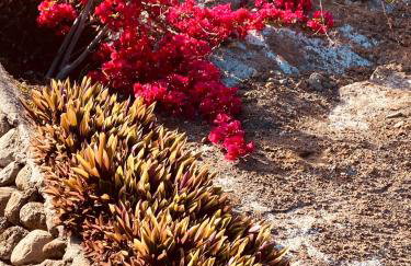 CascadaSol - Foto 63