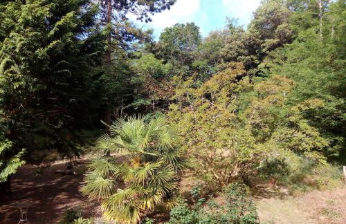 Grande maison familiale, calme, tranquille, 900 m de la plage - Foto 21