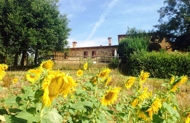 Welcome at Poggio Cantarello Country Home Tuscany - Foto 21