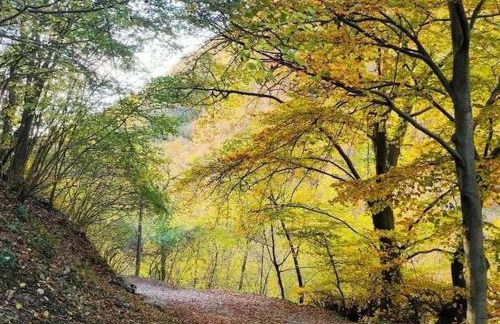 Lake Como Apartment IL NOCE - Foto 25