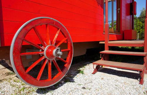 Poggio Diavolino - Suvereto - Foto 43