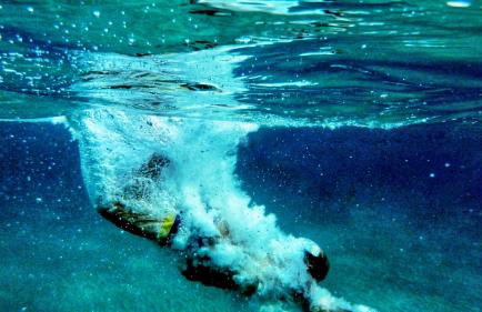 La Casa di Dario - Foto 37