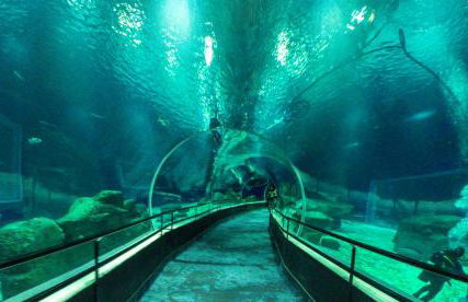 Temporada Rio Studio Lily 2 - Perto do Cristo e de Copacabana - Photo 67