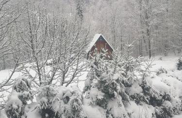 Parisowka w Wielkim Lesie - Foto 15