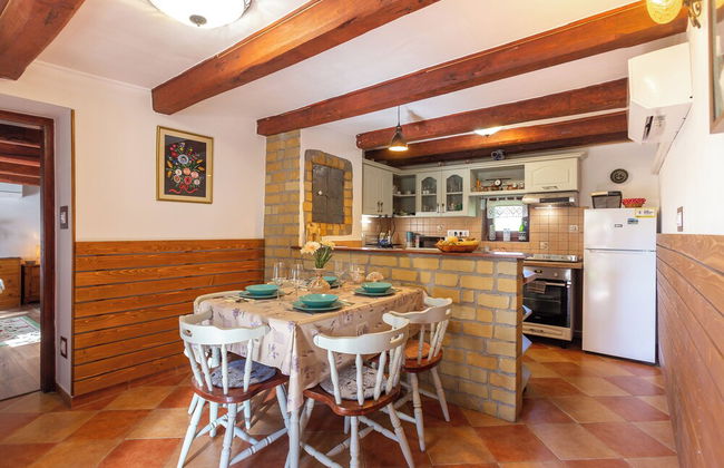 The Bird of Happiness-heaven for Dogs - Foto 19