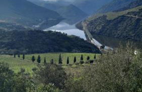 Andar Moradia T4 na Casa do Olival - Foto 36