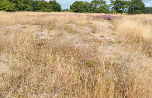 Ferienhaus in Neukirchen nahe Sylt Strand - Foto 37