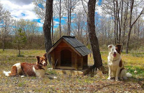 Cabañas Vallecino - Foto 15