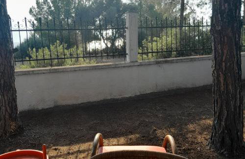 Costa Mama VIlla - Photo 65