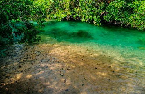 Casa em Aurora do Tocantins - Foto 10