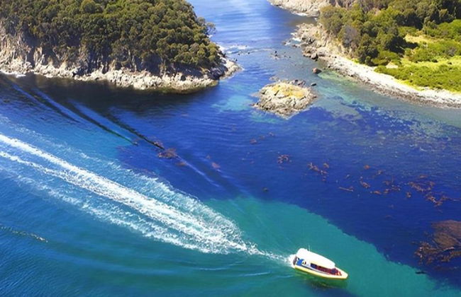 Cruzeiros pela Ilha Bruny - Cruzeiro de 3 horas pela Natureza Selvagem - Foto 1