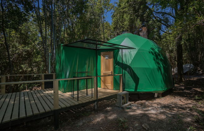 Cabañas Ensenada Bosque Nativo - Foto 28