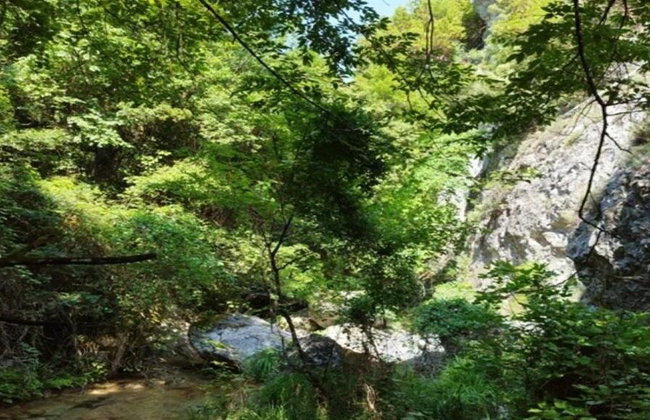Escursione al Monte Olimpo: Cascate di Agia Kori e Palaios Panteleimonas - Foto 3