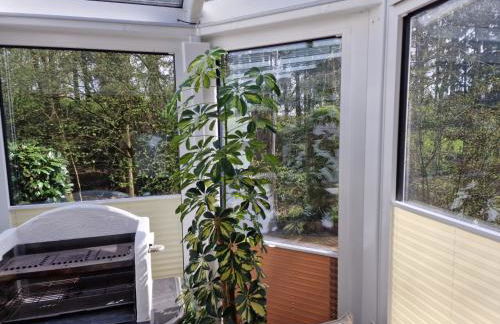 FeWo Harling - Waldoase - Foto 10