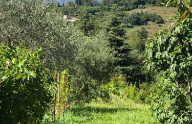 Casa Bembo - Foto 40