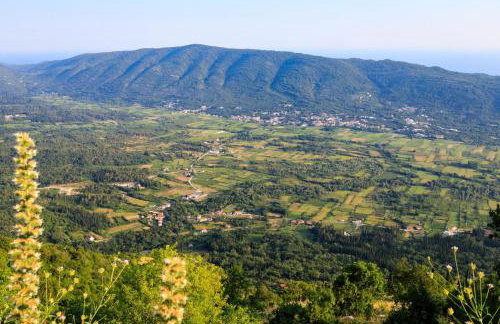 Villa Bacev by Vintage Travel - Photo 23