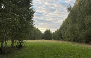 Domek Marianówka PRYWATNA BALIA OGRODOWA - Foto 15