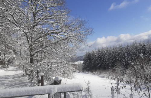Ferienwohnungen Sternenhimmel WHG 1 - Foto 47