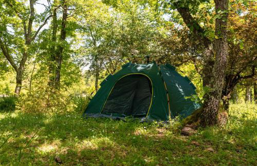 Palmira Apartments - Foto 40