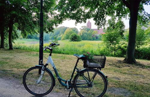 An den Sieben Seen - Foto 25