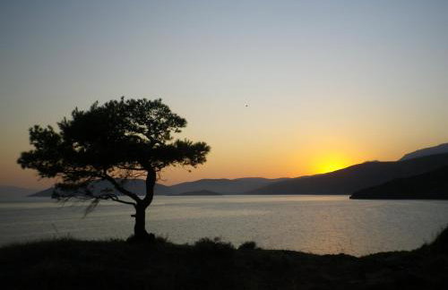 Villla Giallo - Photo 1