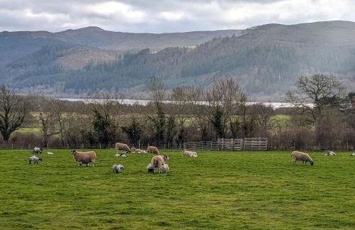 The Beeches - Foto 35