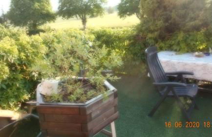 Vermiete sehr schönes Apartment in Dankerode im Harz - Foto 31