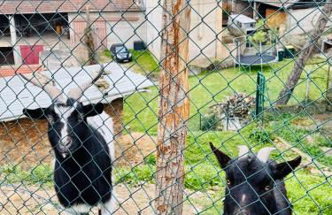 Le Cèdre Enchanté - Maison avec 2 chambres pour 6 personnes climatisée, avec terrasse et BBQ - Foto 21